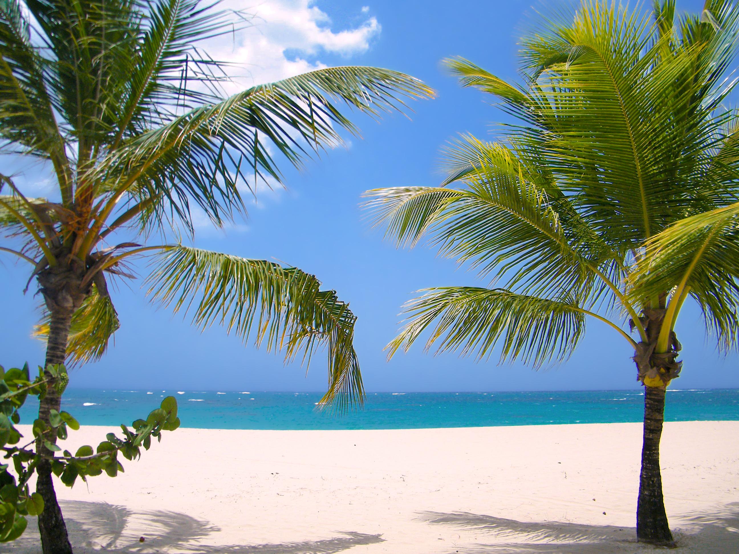 Viva Heavens By Wyndham, A Trademark All Inclusive (Adults Only) Puerto Plata Kültér fotó