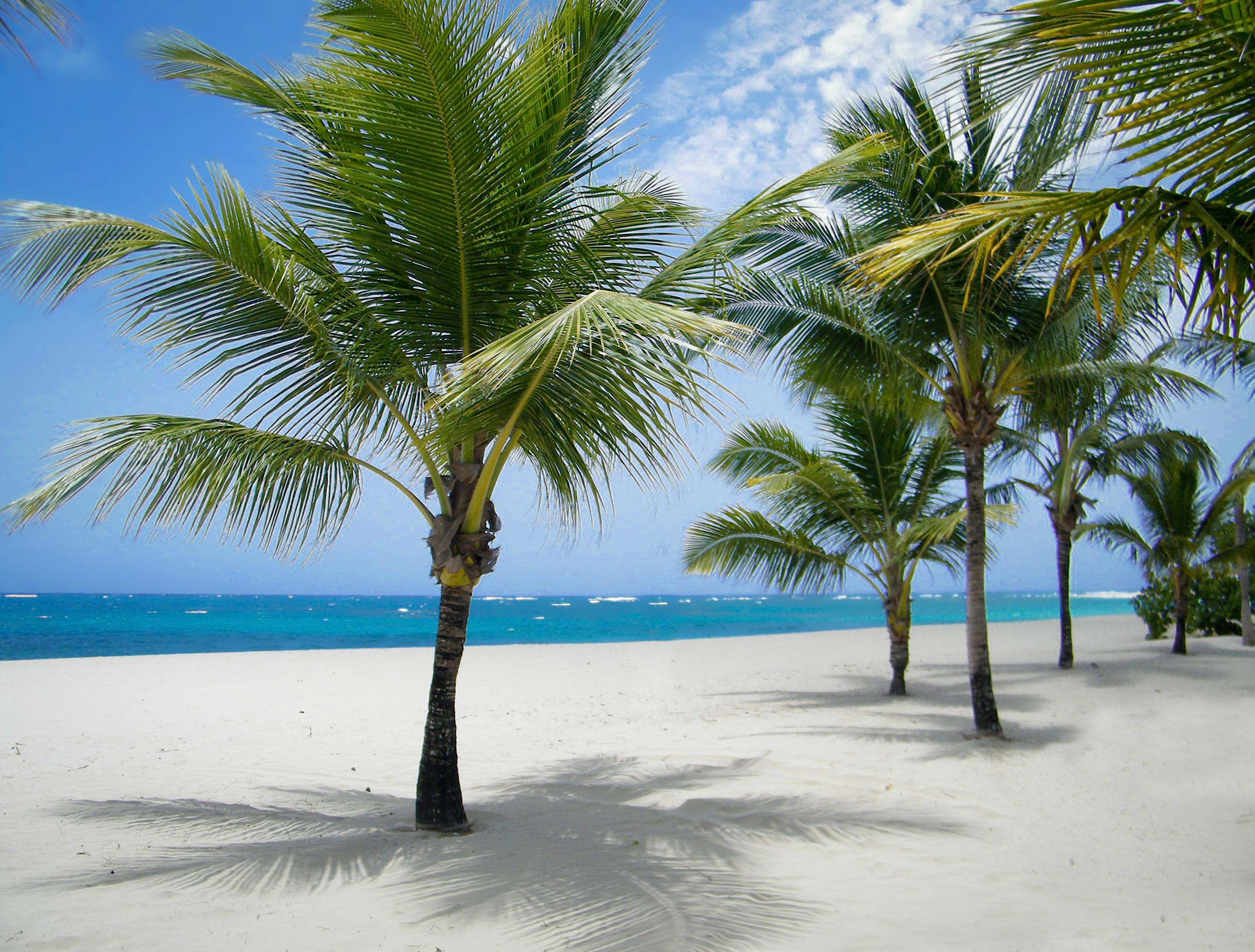 Viva Heavens By Wyndham, A Trademark All Inclusive (Adults Only) Puerto Plata Kültér fotó